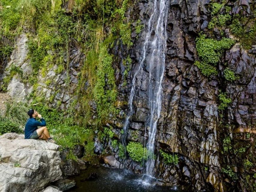 Nature Sanctuary Hiking With Heritage Tour - Experience Highlights