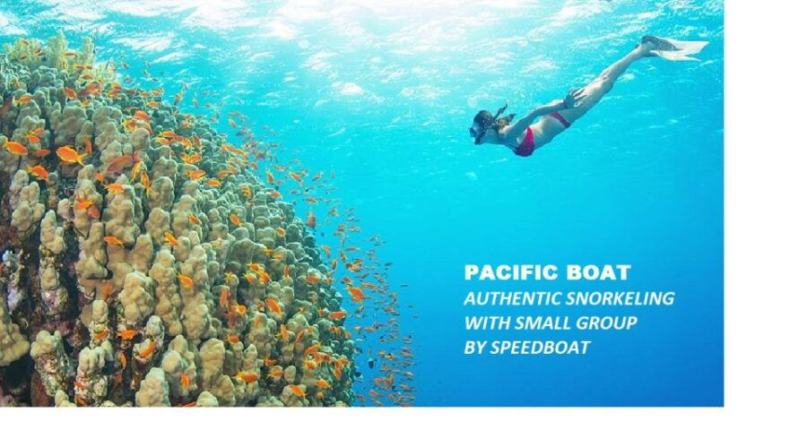 Nha Trang: Island-Hopping & Snorkeling Day Trip by Speedboat