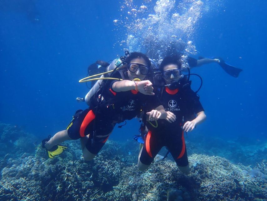 Nha Trang: Professional Scuba Diving for Certified Divers - Activity Highlights