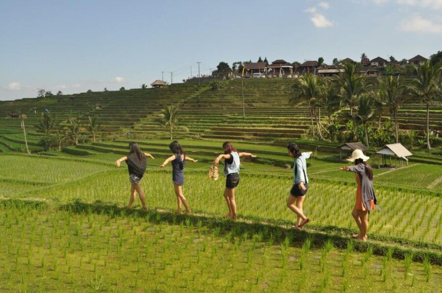 North of Bali: Private Tour With UNESCO World Heritage Site