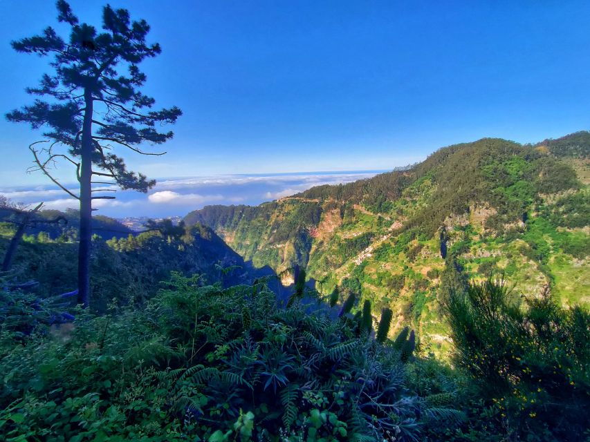 Nun’s Valley