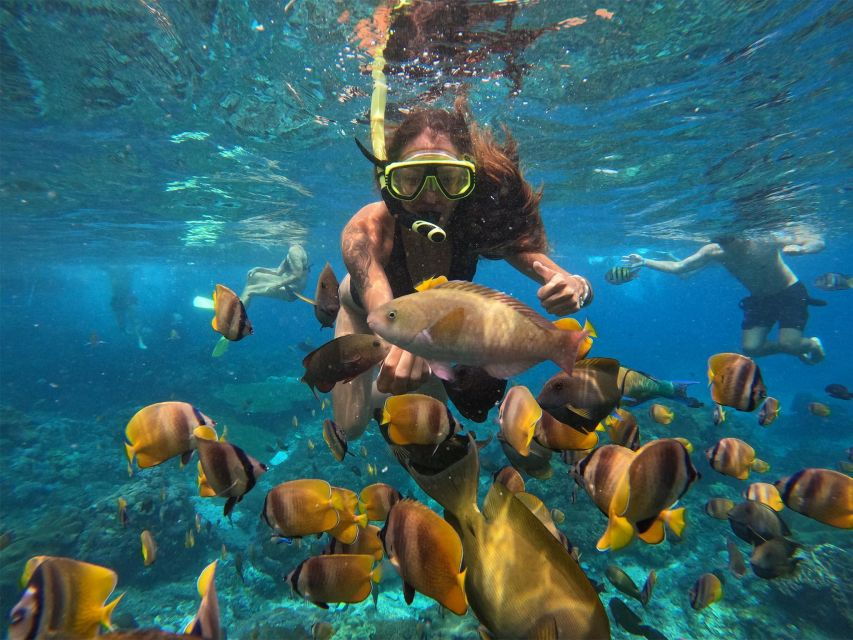 Nusa Penida: Guided Snorkel and Swim With Manta Rays Cruise - Good To Know