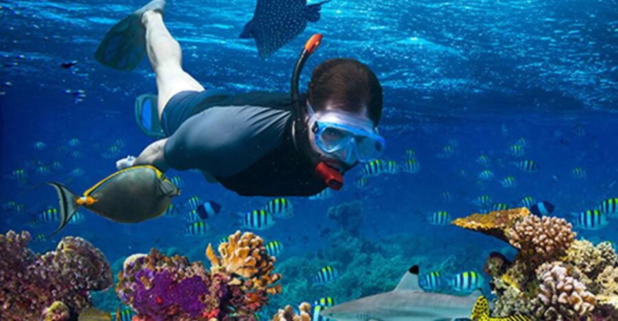 Nusa Penida: Private Snorkeling Boat Trip With Manta Rays - Good To Know