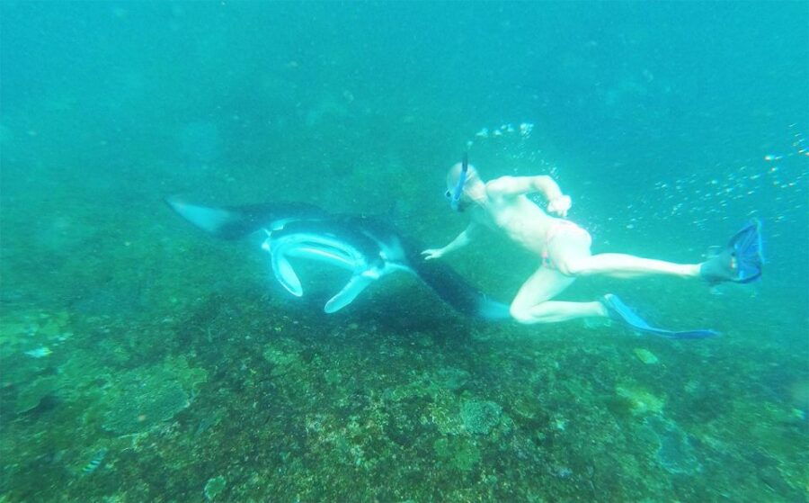 Nusa Penida Private Snorkeling - Booking Information