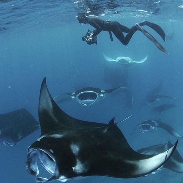 Nusa Penida: Unforgettable Snorkeling Adventure With 4 Spots