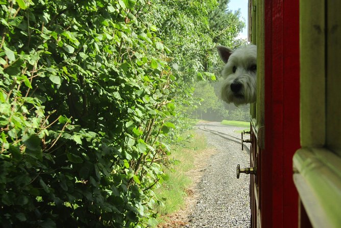 Oakfield Park Day Pass and Train Ride - Traveler Photos and Reviews