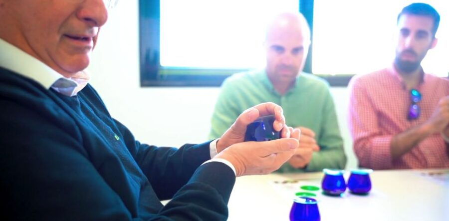 Oleoalmanzora: Guided Tour Masterclass of EVOO Tasting Eng