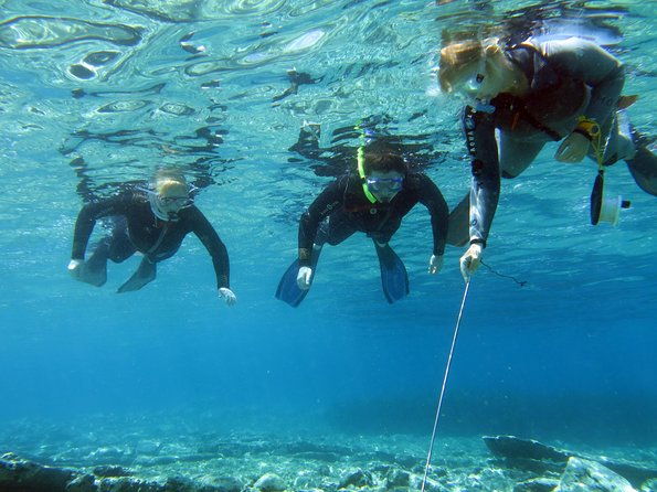 Olous – Guided Snorkelling Excursion to Discover Olous Sunken Ancient City - Good To Know