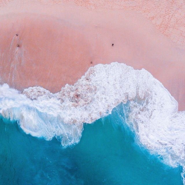 One-Day Komodo Tour By Speedboat - Good To Know