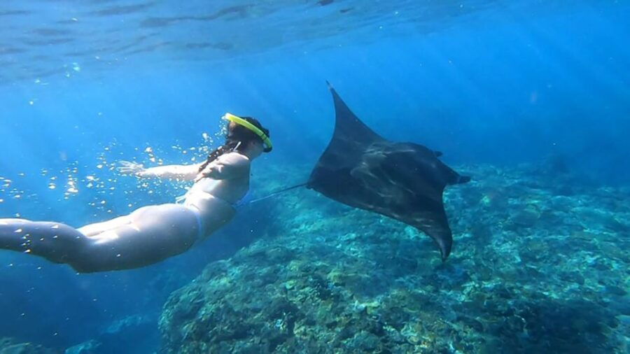 One Day Nusa Penida Island West With Snorkeling - Overview of Nusa Penida Island West