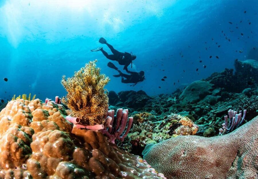 One Day Nusa Penida Snorkeling and Island Tour Combination - Good To Know