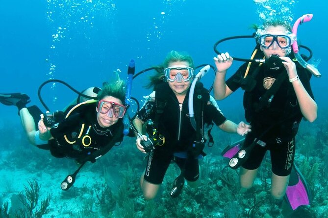 3 Best Scuba Diving Experiences In Fujairah