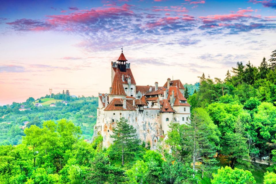 One Day Trip Bear Sanctuary, Dracula Castle - Good To Know