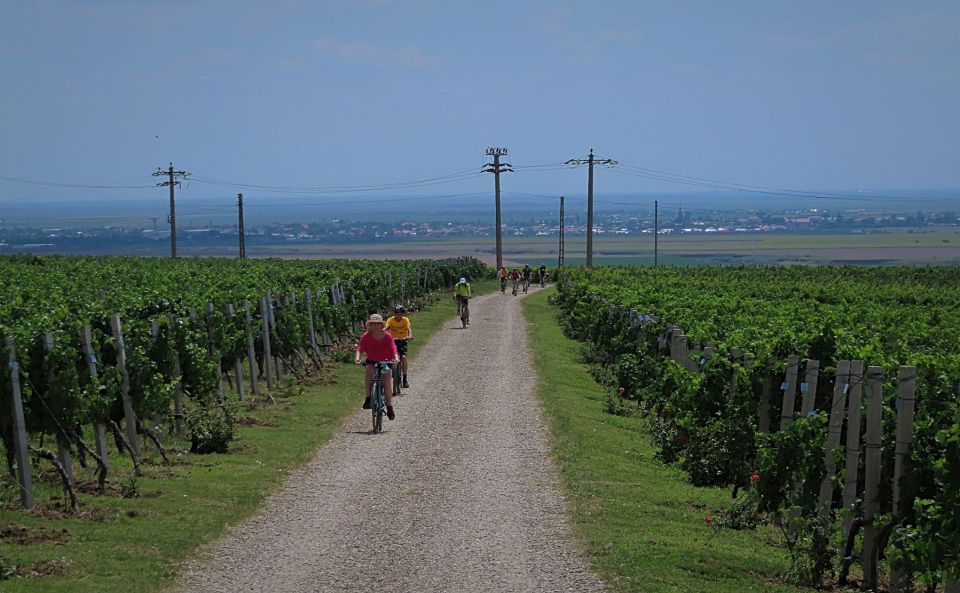 One Day Wine Route by Bike - Tour Description