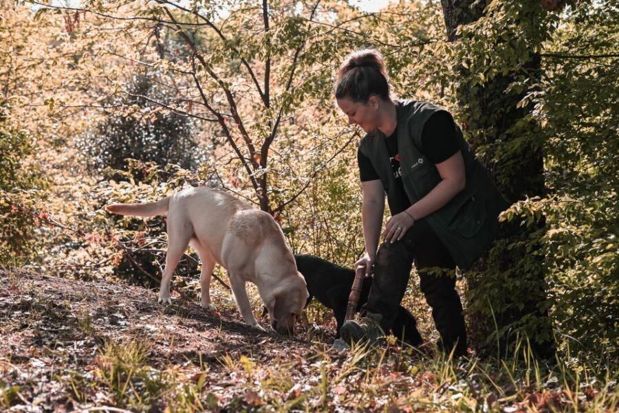 Paladini: Truffle Hunting Tour With 3-Course Tasting Menu - Good To Know