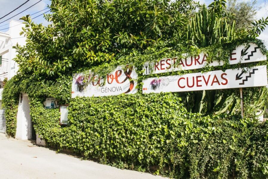 Palma: Caves of Genova Ticket & Digital Informational Video - Good To Know