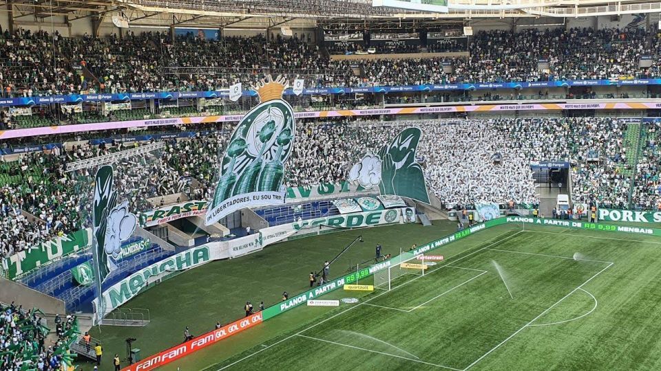 Palmeiras Game Experience in Allianz Parque