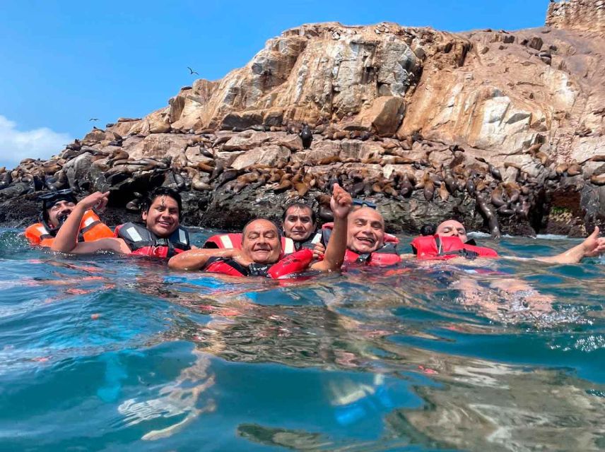 Palomino Islands Speedboat Excursion & Swim With Sea Lions