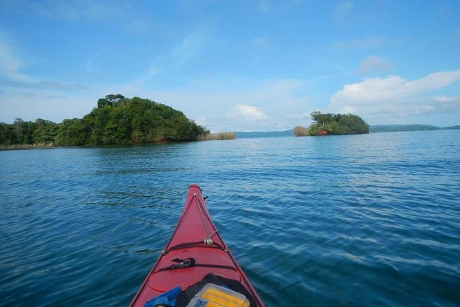 Panama Kayak Adventure: Explore Wild Chagres River - Good To Know
