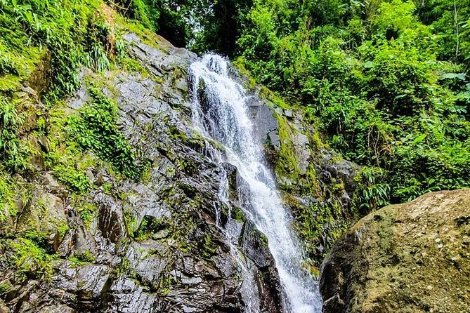 Panama’s Anton Valley: La India Dormida Trek