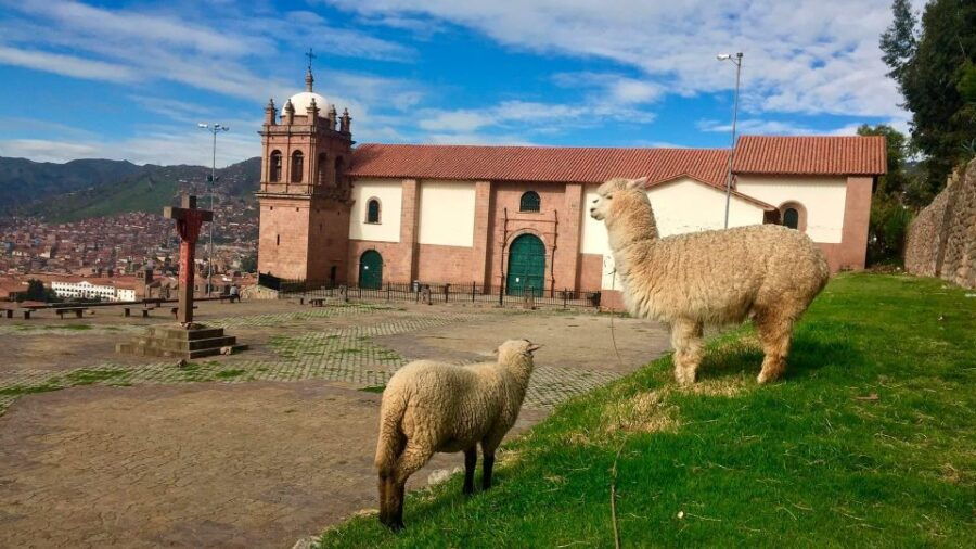 Panoramic Tour of Cusco With Folkloric Show Cusco in Family - Good To Know