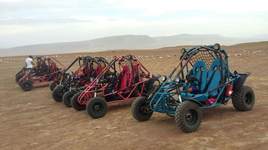 Paracas: Mini Buggy Ride in Paracas National Reserve