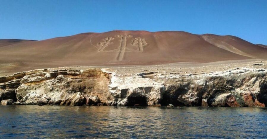 Paracas: Observation of Marine Fauna in Ballestas Islands