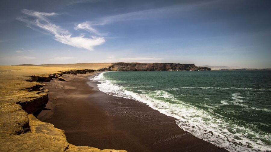 Paracas: Paracas National Reserve Half Day Tour