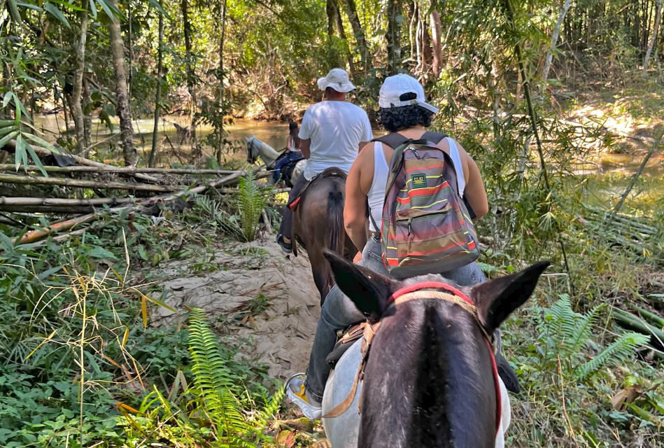 Paraty: 3-Hour Rainforest Horseback Ride