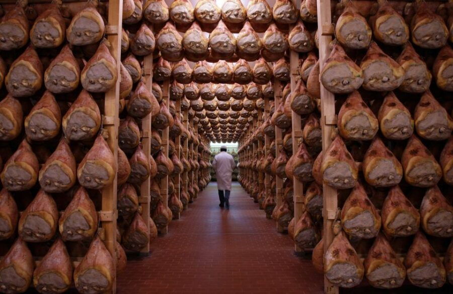 Parma: Parmigiano and Prosciutto Guided Tour - Inclusions and Experiences