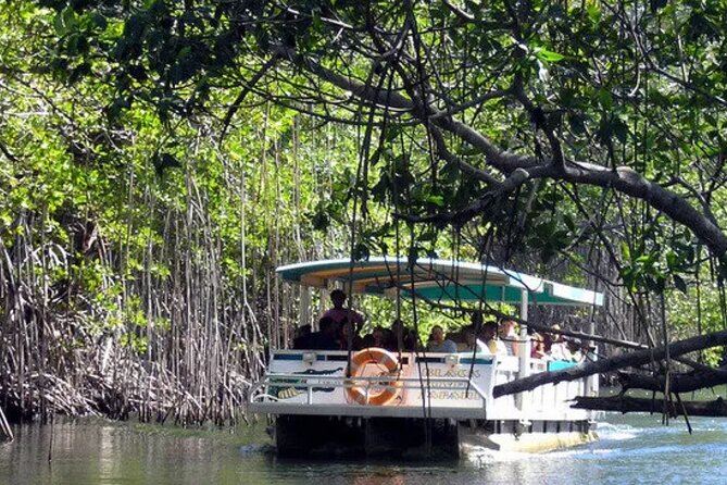 Pelican Bar and Black River Safari Combine Tour From Montego Bay - Good To Know