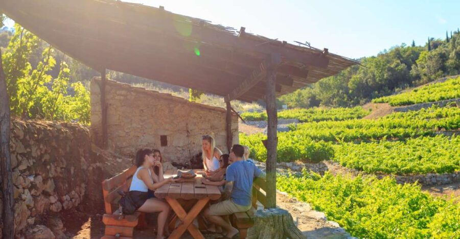 PelješAc Full-Day Wine and Food Tour From Dubrovnik - Good To Know