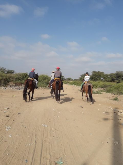 Peru, Chiclayo: 1 Day Horseback Riding and Ancient Pyramids - Good To Know