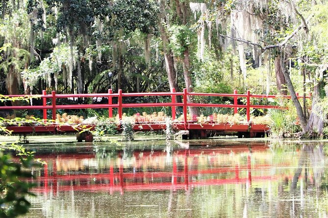 Photograph Low Country Wildlife With a Professional Photographer