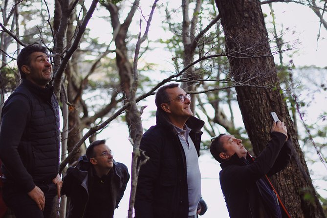 Photography & Birdwatching Tour