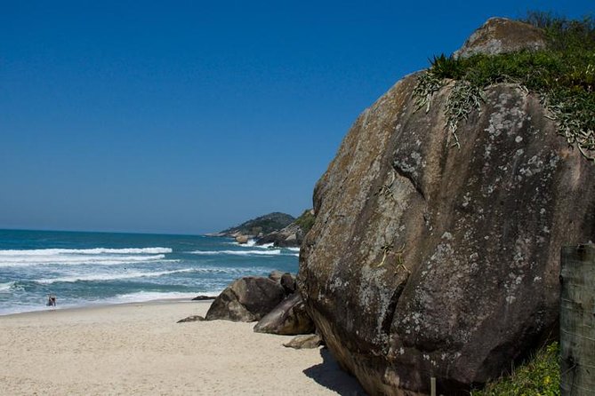 Photography Tour Reveals Rio's Hidden Ecological Gems