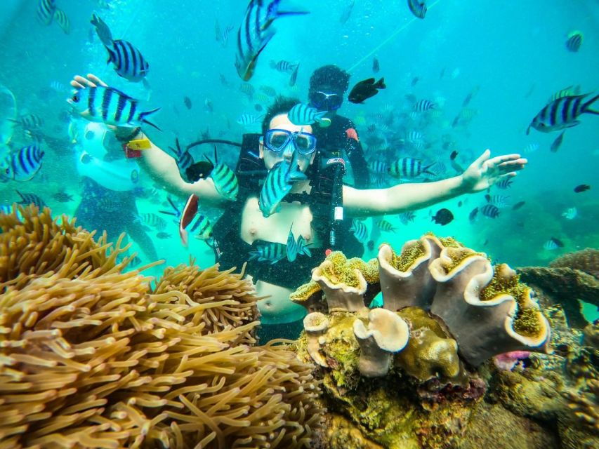 Phu Quoc: Nautilus Namaste, Seawalking at the Cruise