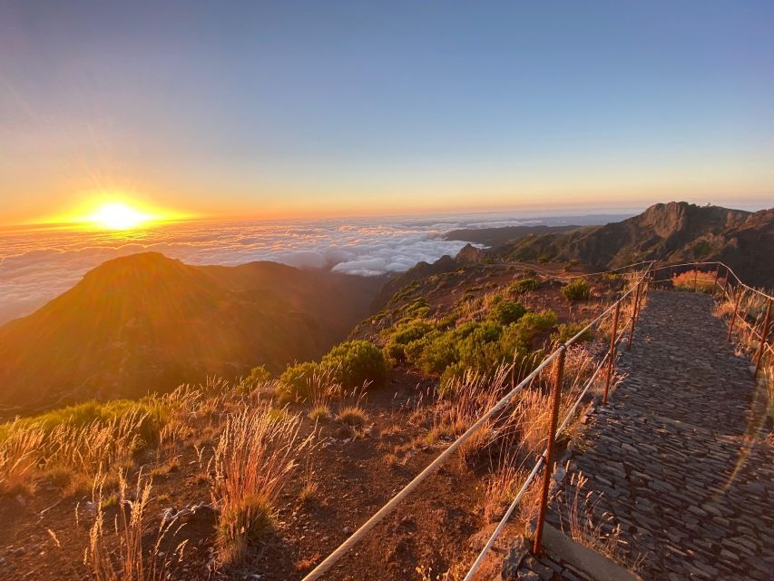 Pick up in Machico and Full Day Ticket Bus in Santana - Good To Know