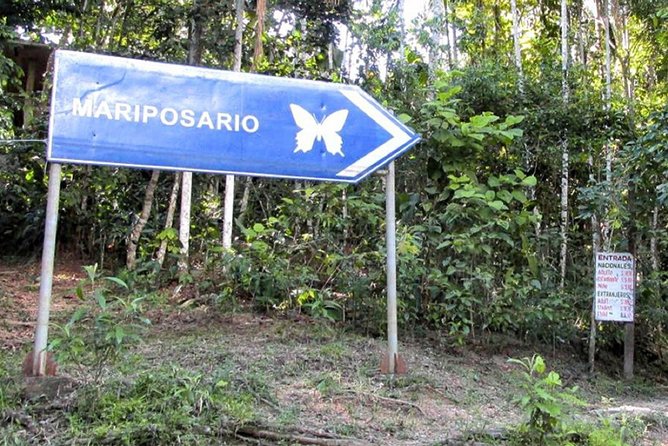 Pilpintuwasi Butterfly Farm Tour - Private Full-Day Experience