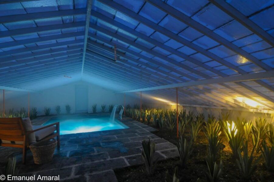 Pineapple Greenhouse Hot Tube and Pineapple Tour - Good To Know