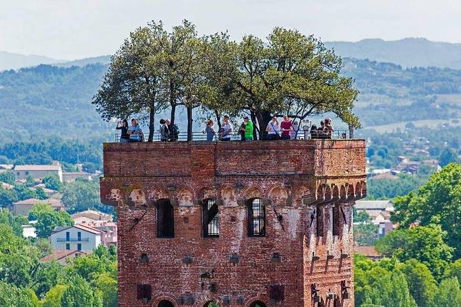 Pisa & Lucca Private Tour