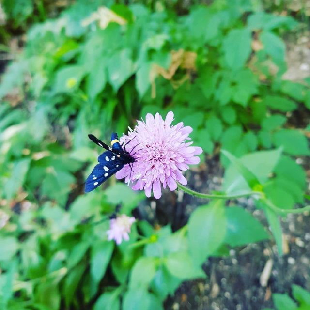 Plitvice Lakes National Park: Walking, Boat, and Train Tour