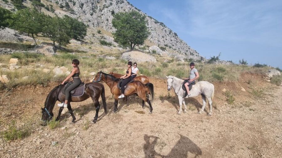 Podstrana: Guided Horseback Riding Experience - Highlights of the Ride