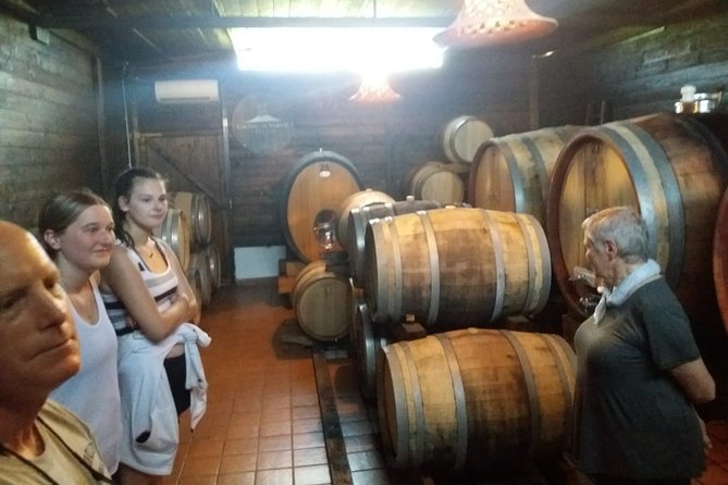 Pompeii and Herculaneum Skiptheline With Lunch&Winetasting From Naples Port - Good To Know