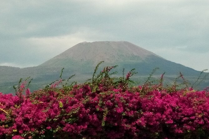 Pompeii Skiptheline and Mt Vesuvius With Lunch&Winetasting From Rome - Inclusions
