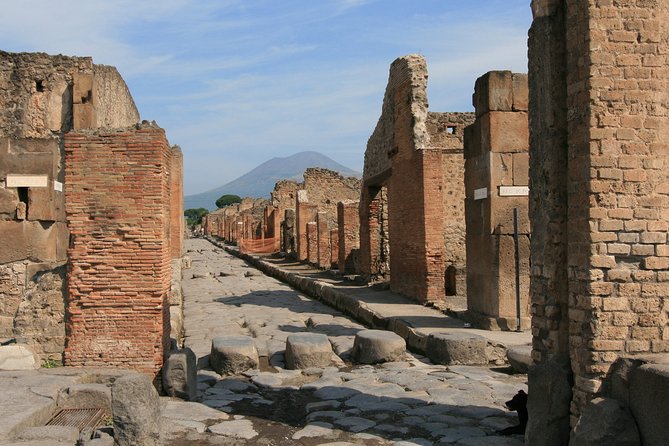 Pompeii Skiptheline Tickets With Lunch&Winetasting From Rome - Departure and Pricing Details