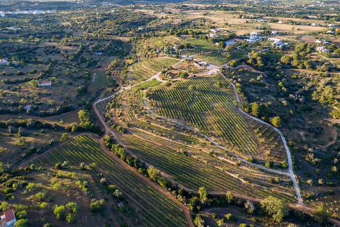 Porches Algarve Vineyard Tour and Wine Tasting Experience - Good To Know