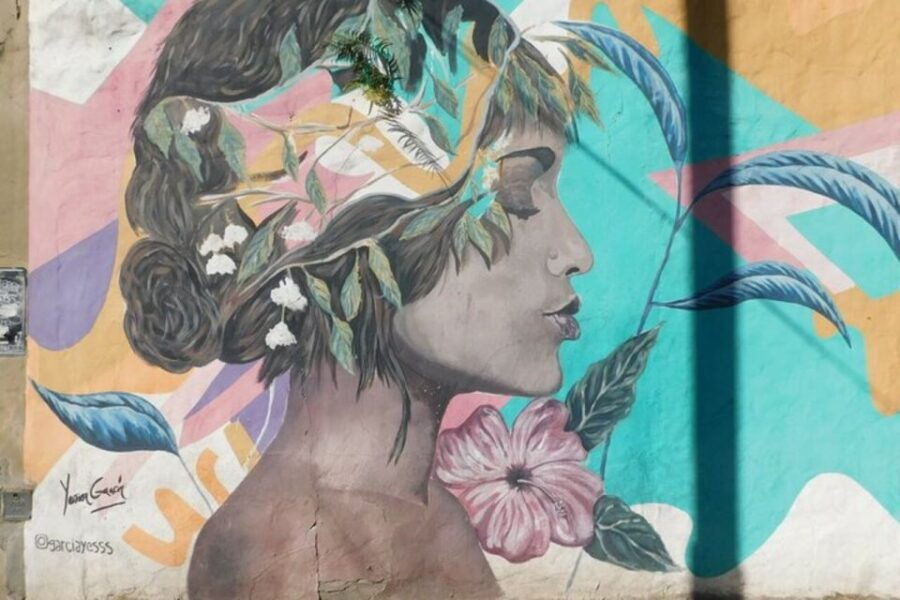 Premium Argentinian Wine and Malbec Tasting & Urban Art Tour - Good To Know