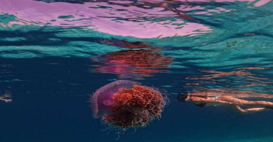 Privat Boat: Snorkelling Around the Gilis With Go Pro - Good To Know