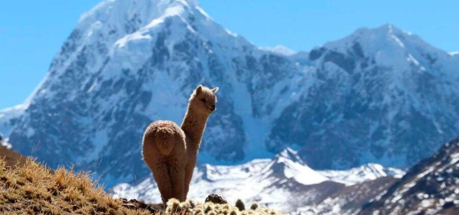 Private: 2 Days Trekking, Ausangate and Rainbow Mountain - Good To Know